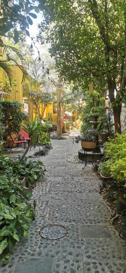 Hotel Rosa Morada 特拉克帕克 外观 照片