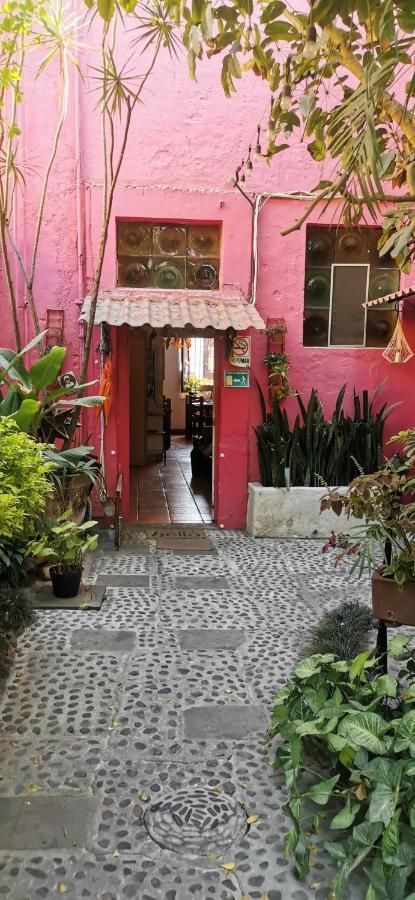 Hotel Rosa Morada 特拉克帕克 外观 照片